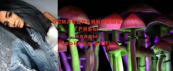 гашик Армянск