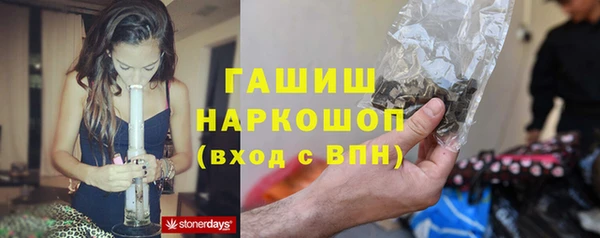 ПСИЛОЦИБИНОВЫЕ ГРИБЫ Арсеньев