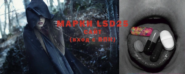 ПСИЛОЦИБИНОВЫЕ ГРИБЫ Арсеньев