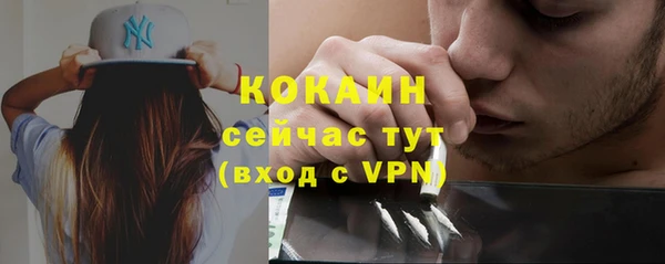 ПСИЛОЦИБИНОВЫЕ ГРИБЫ Арсеньев