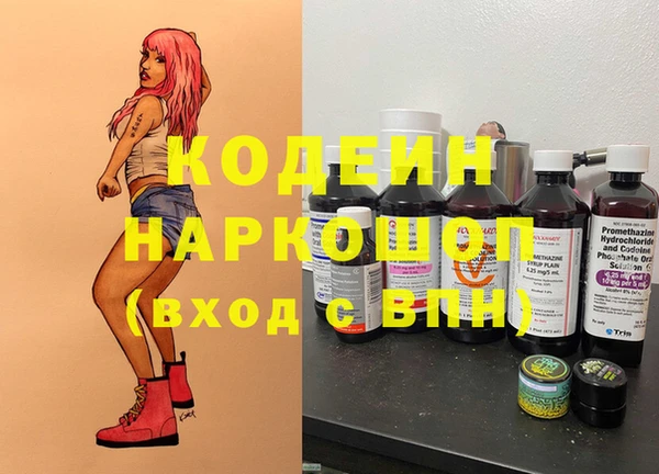ПСИЛОЦИБИНОВЫЕ ГРИБЫ Арсеньев