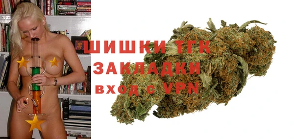 ПСИЛОЦИБИНОВЫЕ ГРИБЫ Арсеньев