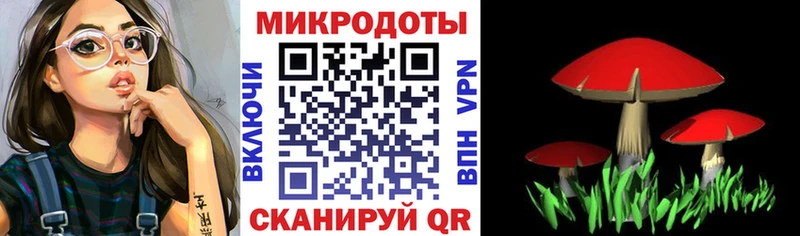 Псилоцибиновые грибы Psilocybe Рыбное